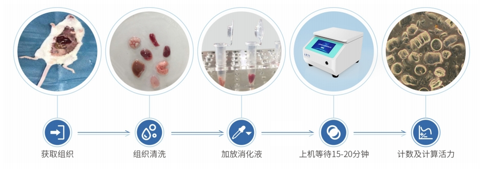 1701333979800822.png 1701333979800822.png