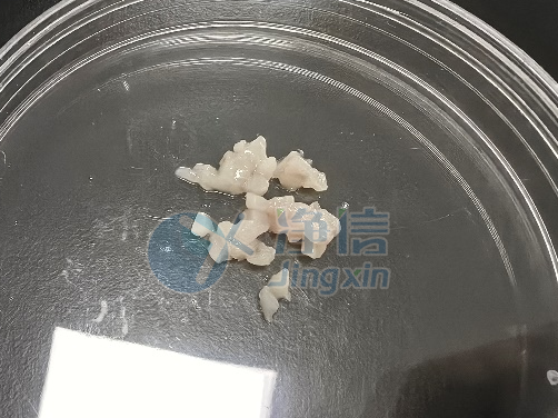 1701334010125969.png 1701334010125969.png