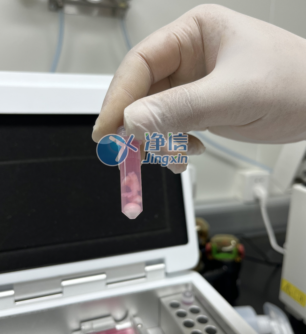 1701845499158966.png 1701845499158966.png