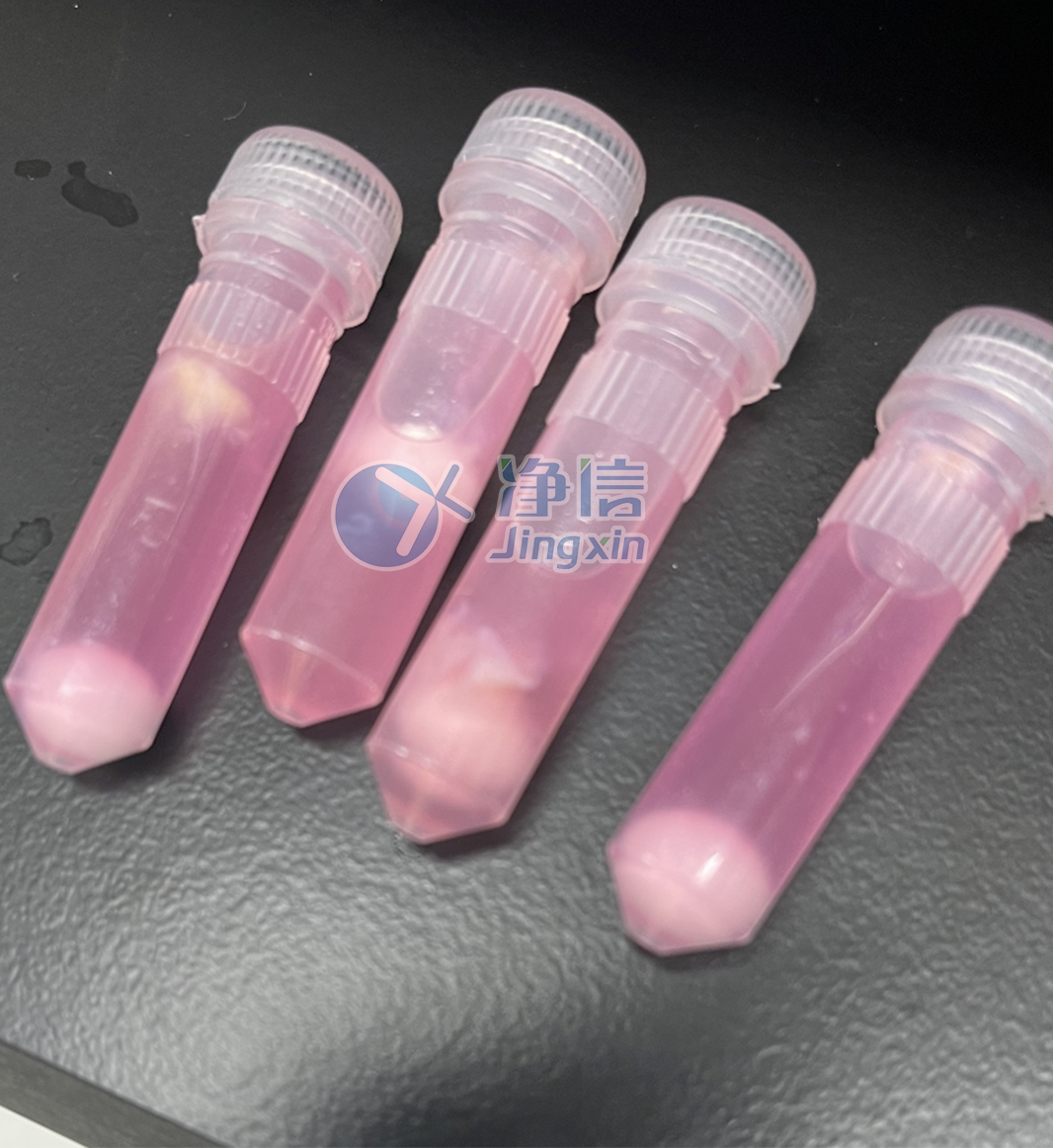 1701845567103516.png 1701845567103516.png