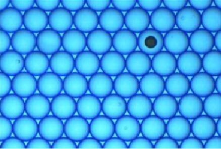 單細胞微流體服務實驗室