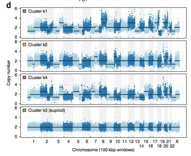 不使用微流控如何實(shí)現(xiàn)高通量測序單細(xì)胞基因組?